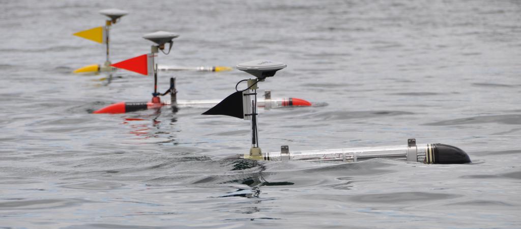 ASV/AUV MEDUSA ASV/AUV MEDUSA